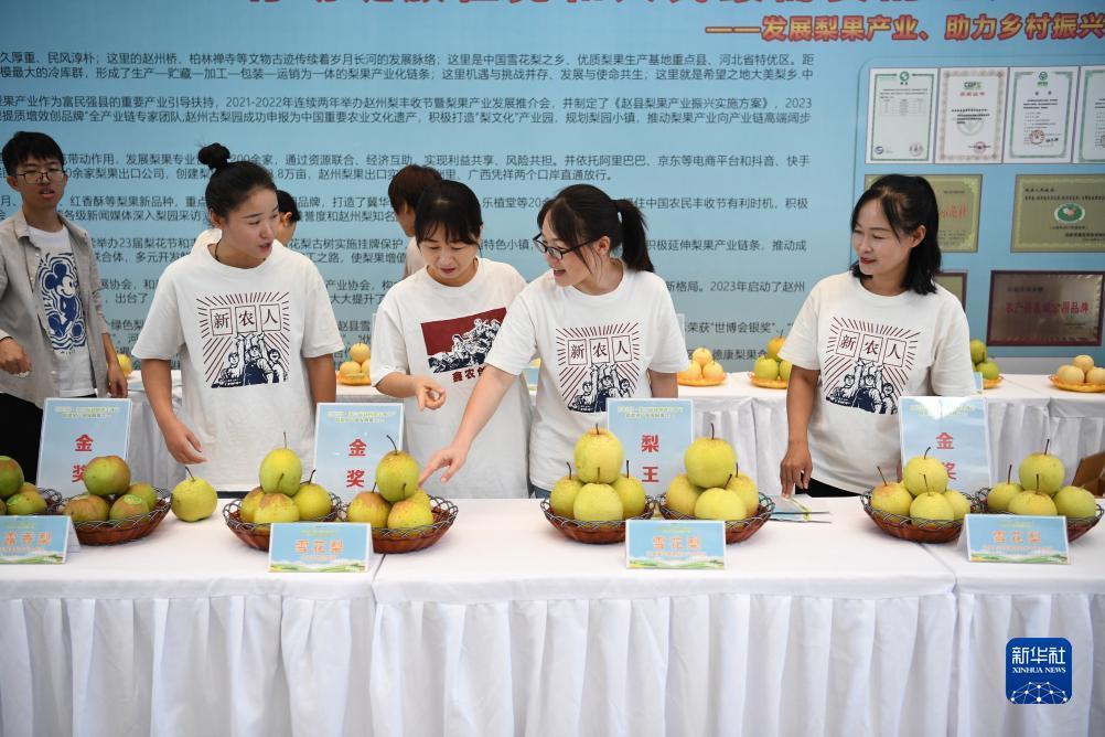 双胜娱乐